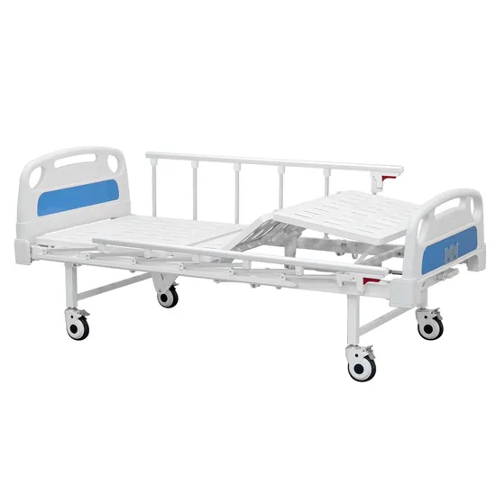 Manual and Electric Nursing Bed/Nursing Home Care Bed